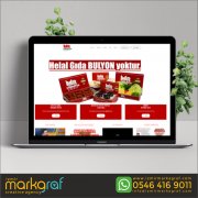 MANİSA WEB TASARIM