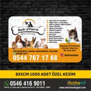 PETSHOP MAGNET BASKI 07